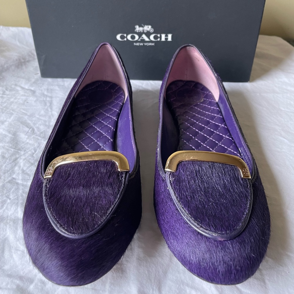 Coach Purple Chelsea Matte Calf Flats box included